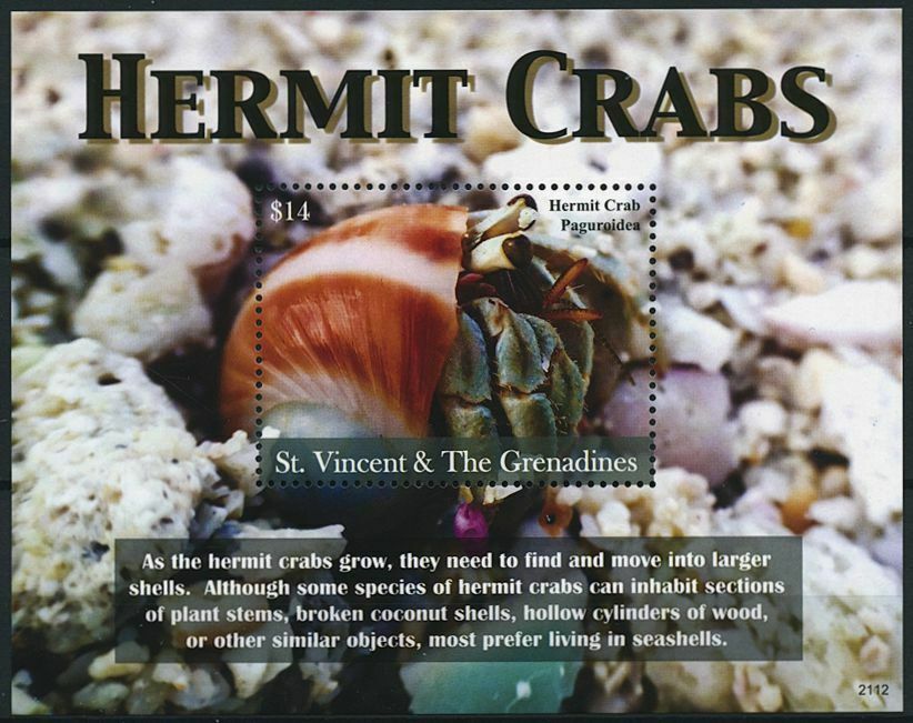 St Vincent & Grenadines 2021 MNH Marine Animals Stamps Hermit Crabs 1v S/S
