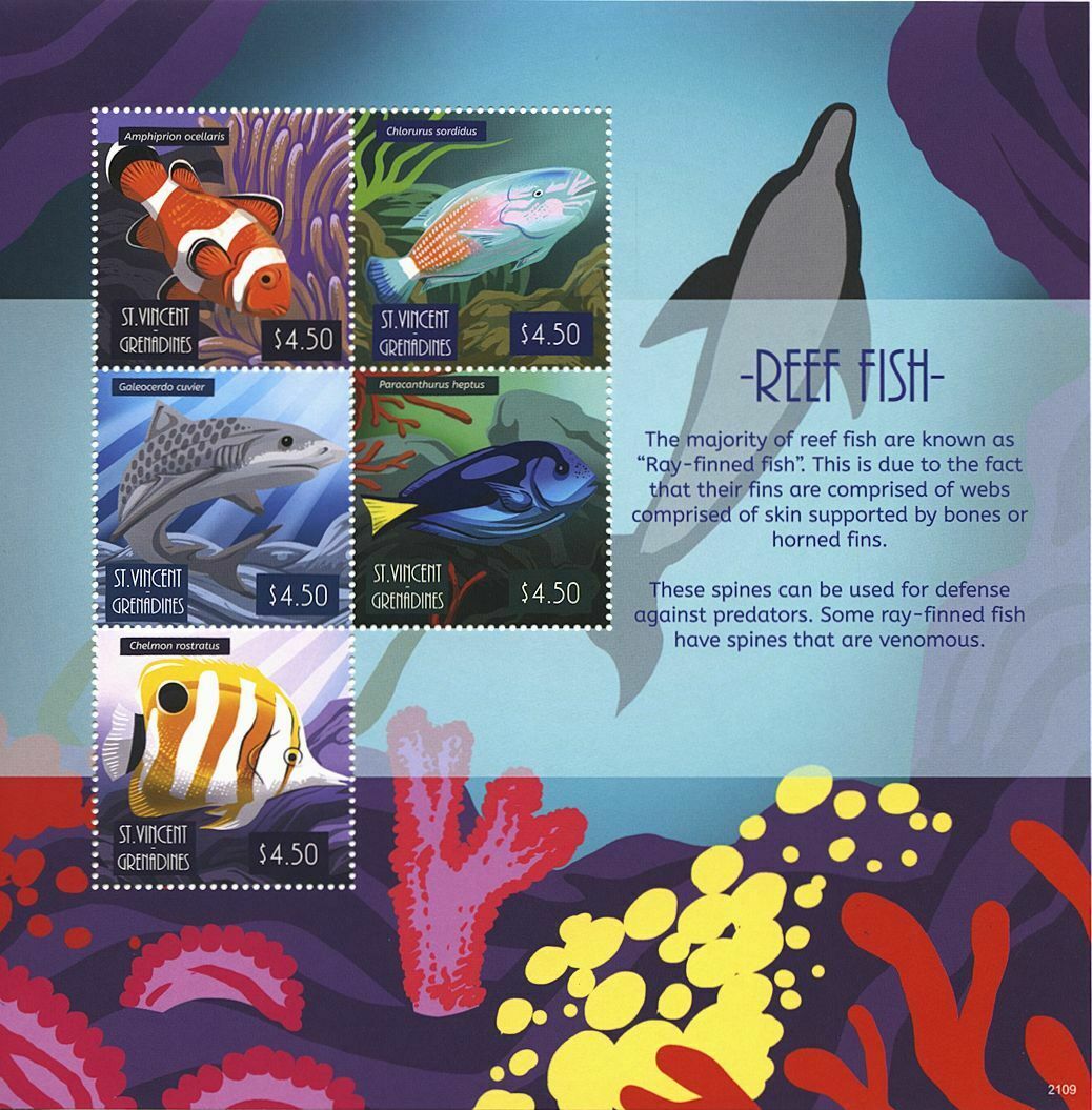 St Vincent & Grenadines 2021 MNH Reef Fish Stamps Clownfish Fishes 5v M/S
