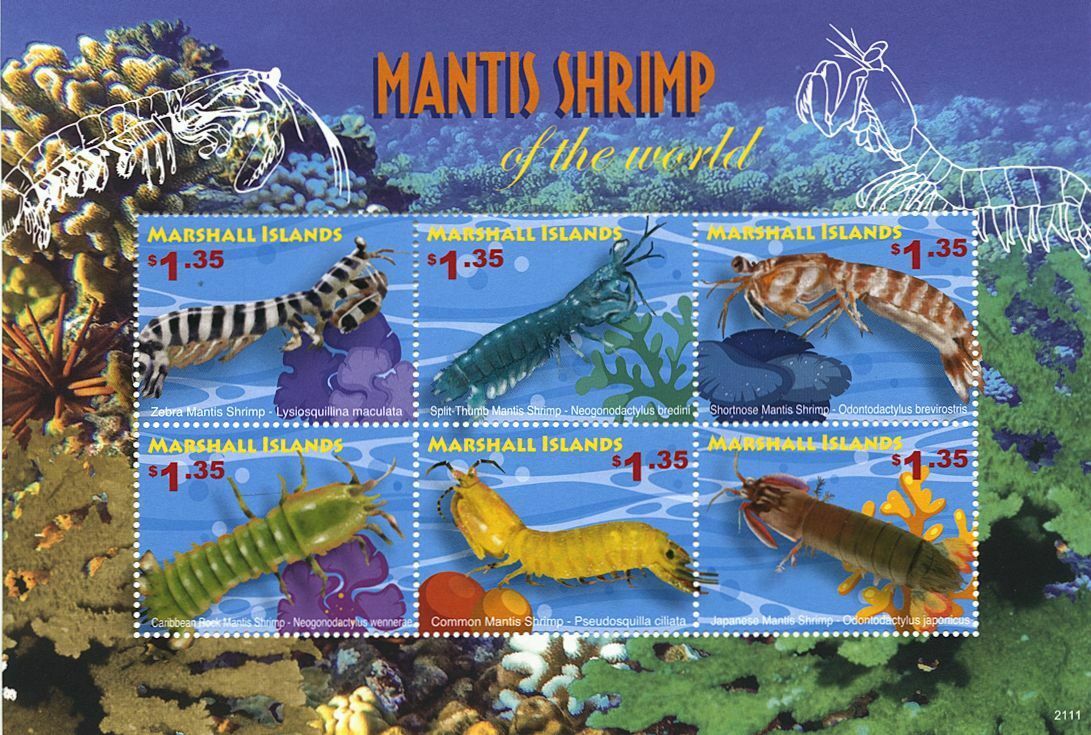 Marshall Islands 2021 MNH Marine Animals Stamps Mantis Shrimp of World 6v M/S