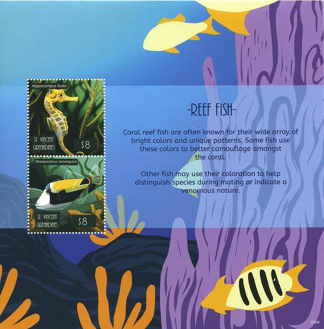 St Vincent & Grenadines 2021 MNH Reef Fish Stamps Seahorses Fishes 2v S/S