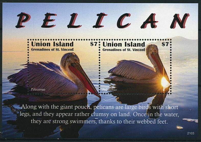 Union Island Gren St Vincent 2021 MNH Birds on Stamps Pelicans Pelican 2v S/S