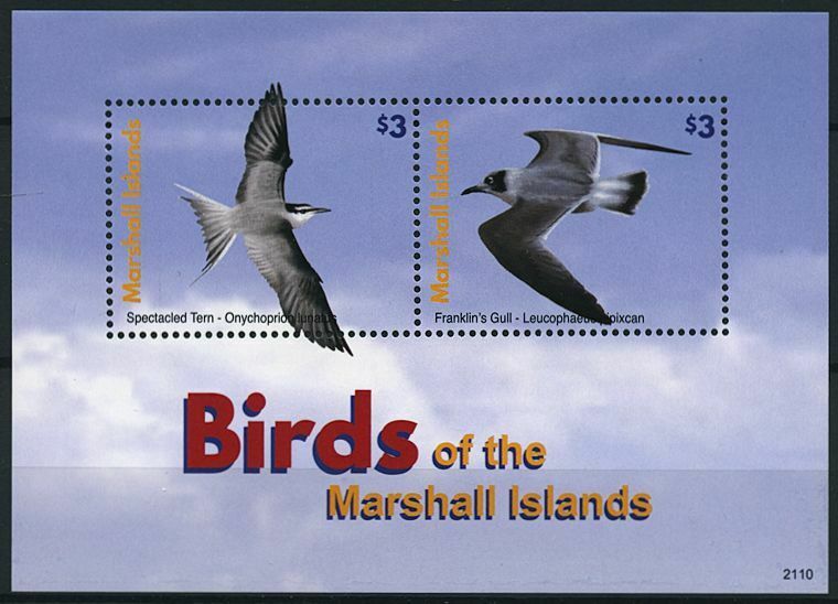 Marshall Islands 2021 MNH Birds on Stamps Terns Spectacled Tern Gulls 2v S/S