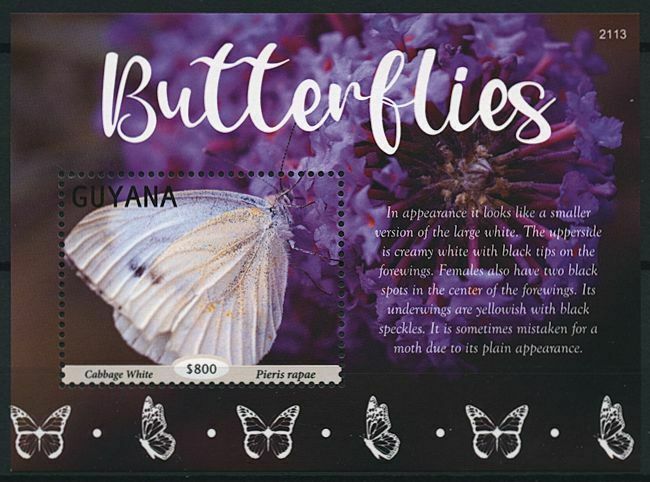 Guyana 2021 MNH Butterflies Stamps Cabbage White Butterfly 1v S/S