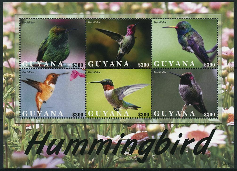 Guyana 2021 MNH Birds on Stamps Hummingbirds Hummingbird Trochilidae 6v M/S