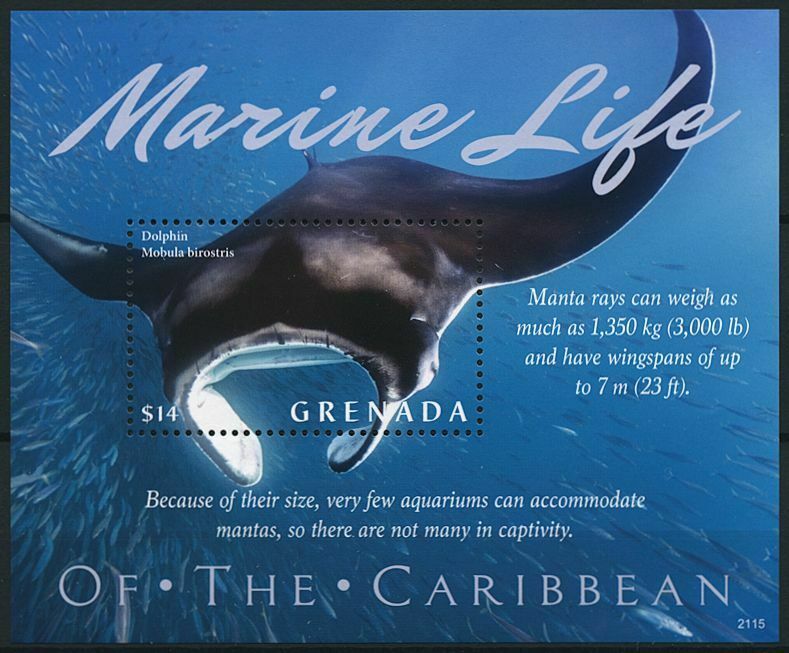 Grenada 2021 MNH Stamps Marine Life of Caribbean Manta Rays Fish 1v S/S
