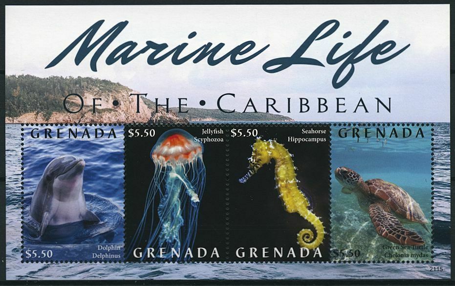 Grenada 2021 MNH Stamps Marine Life of Caribbean Turtles Seahorses 4v M/S