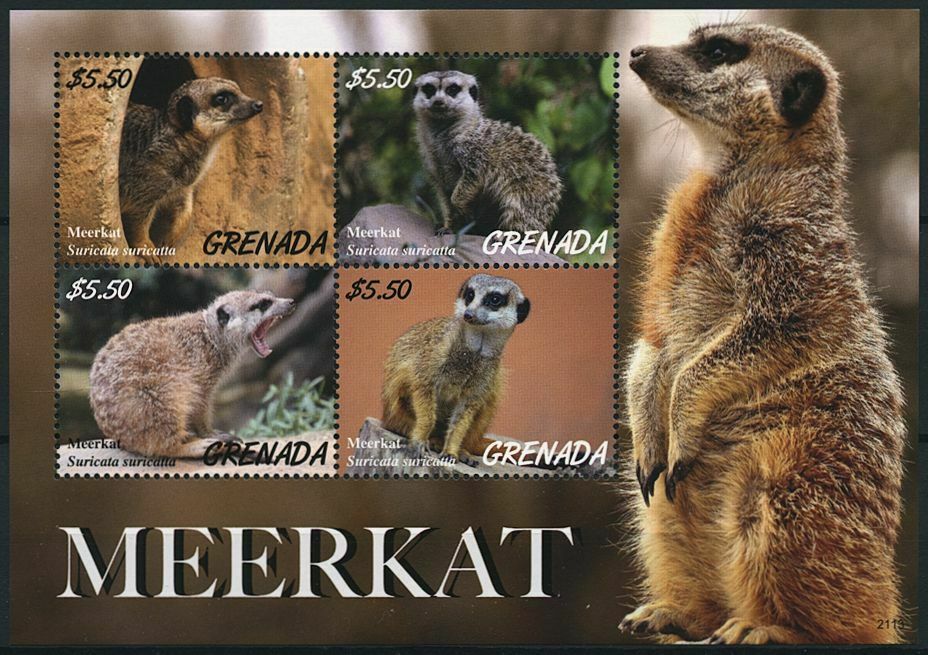 Grenada 2021 MNH Wild Animals Stamps Meerkat Suricate Fauna 4v M/S