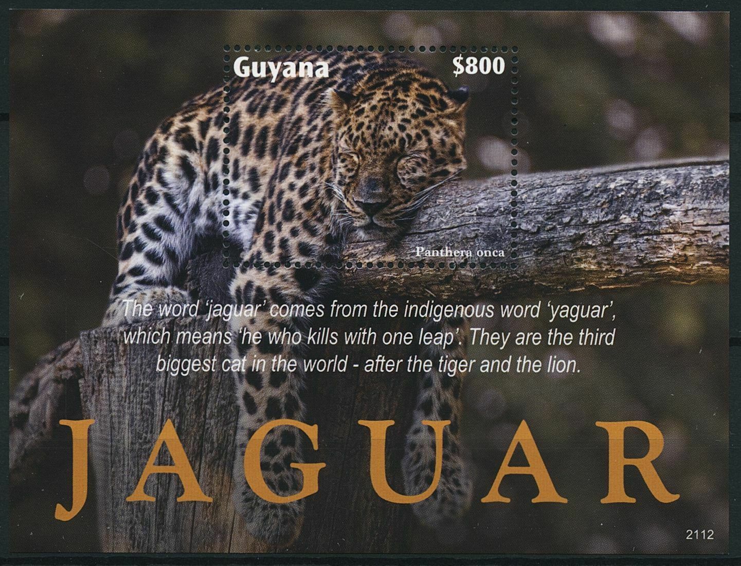 Guyana 2021 MNH Wild Animals Stamps Jaguars Big Cats Jaguar 1v S/S