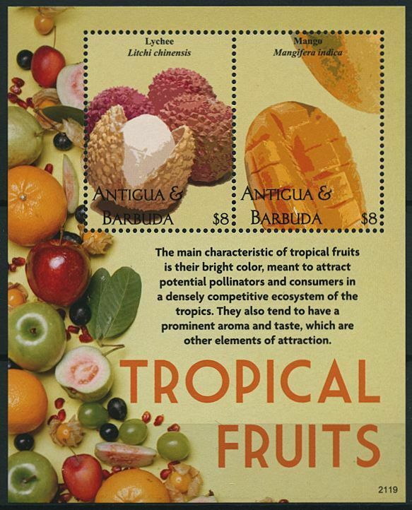 Antigua & Barbuda 2021 MNH Nature Stamps Tropical Fruits Lychee Mango 2v S/S