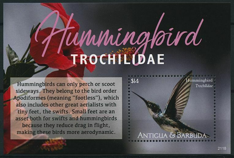 Antigua & Barbuda 2021 MNH Birds on Stamps Hummingbirds Trochilidae 1v S/S