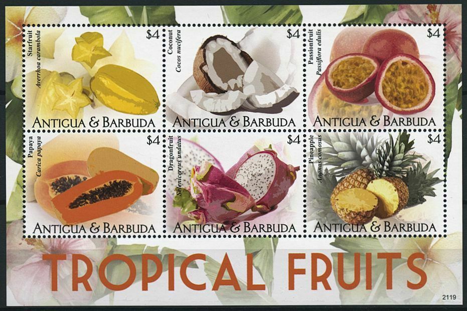 Antigua & Barbuda 2021 MNH Nature Stamps Tropical Fruits Papaya Coconut 6v M/S