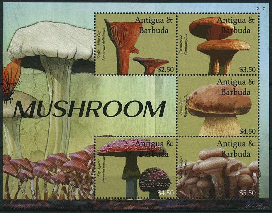 Antigua & Barbuda 2021 MNH Mushrooms Stamps Fungi Chanterelle Fly Agaric 5v M/S
