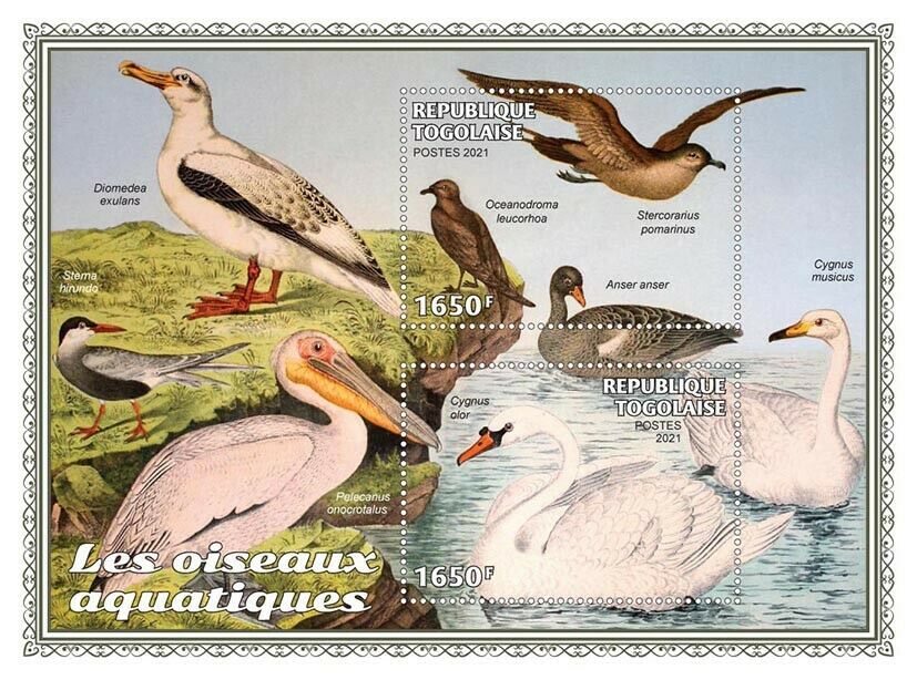 Togo 2021 MNH Water Birds on Stamps Pelicans Swans Geese Jaegers 2v S/S