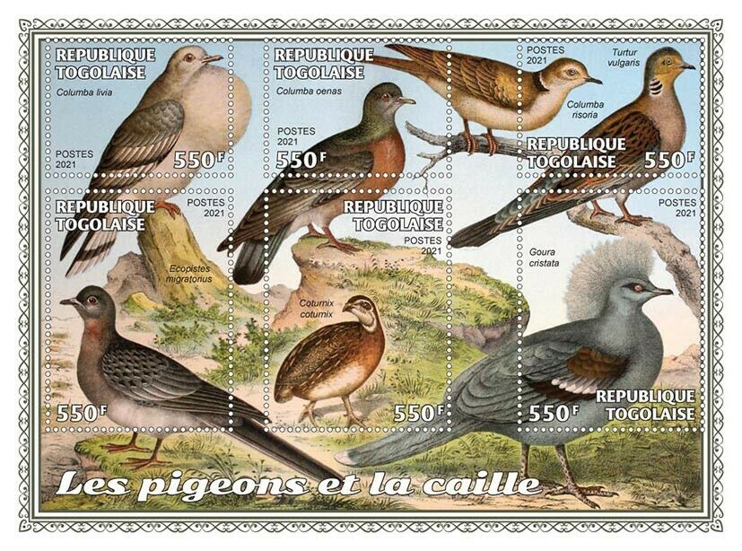 Togo 2021 MNH Birds on Stamps Pigeons & Quail Rock Dove Crowned Pigeon 6v M/S