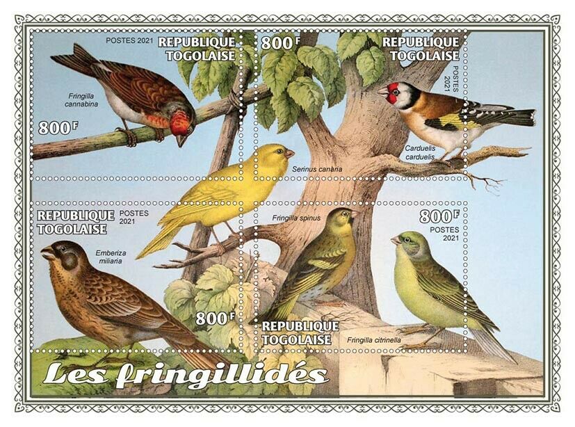Togo 2021 MNH Birds on Stamps Finches Goldfinch Corn Bunting 4v M/S