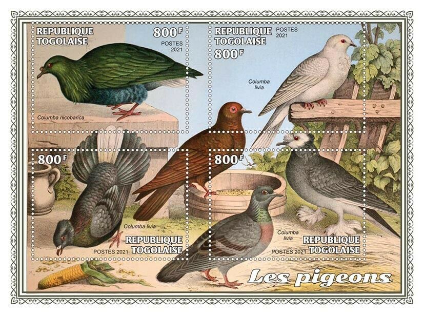 Togo 2021 MNH Birds on Stamps Pigeons Doves Nicobar Pigeon Rock Dove 4v M/S