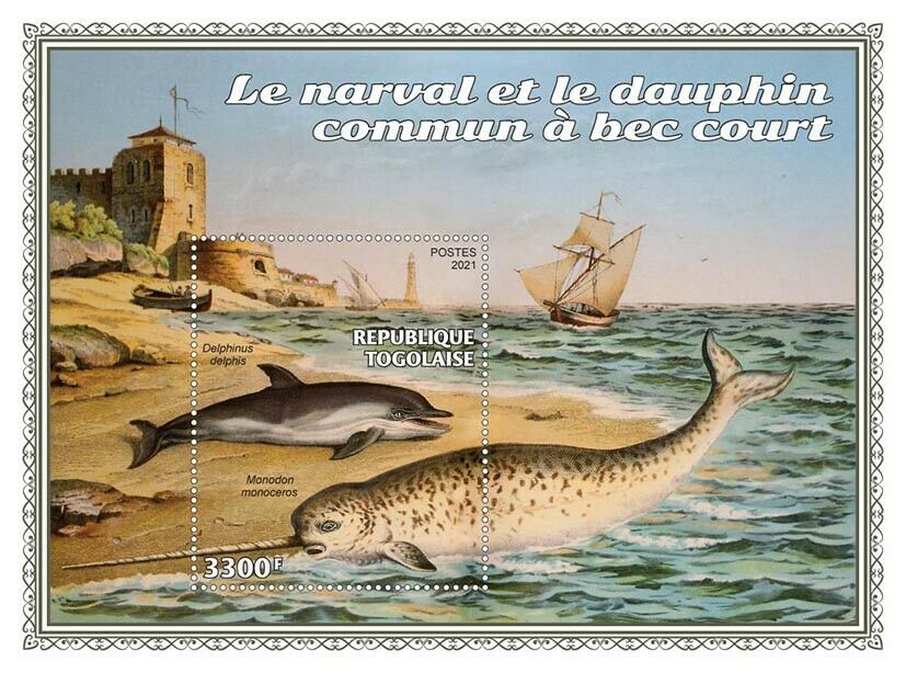 Togo 2021 MNH Dolphins Stamps Narwhal Short-Beaked Common Dolphin 1v S/S