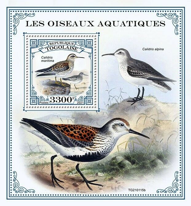 Togo 2021 MNH Water Birds on Stamps Sandpipers Purple Sandpiper Wader 1v S/S