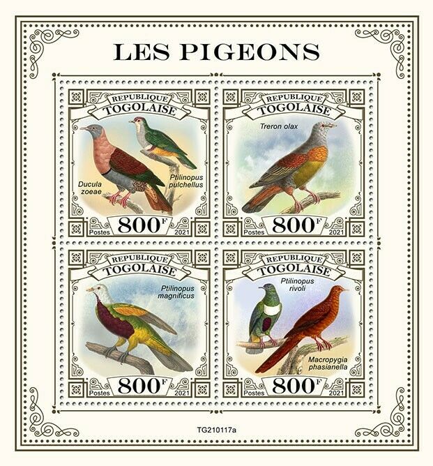 Togo 2021 MNH Birds on Stamps Pigeons Doves Little Green Pigeon Fruit Dove 4v MS