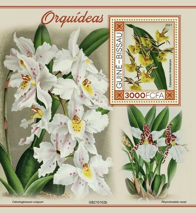 Guinea-Bissau 2021 MNH Flowers Stamps Orchids Catasetum Orchid Flora 1v S/S II