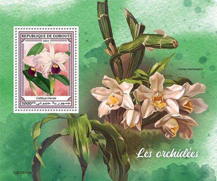 Djibouti 2021 MNH Flowers Stamps Orchids Cattleya Orchid Flora Nature 1v S/S
