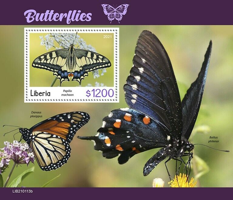 Liberia 2021 MNH Butterflies Stamps Swallowtail Butterfly 1v S/S