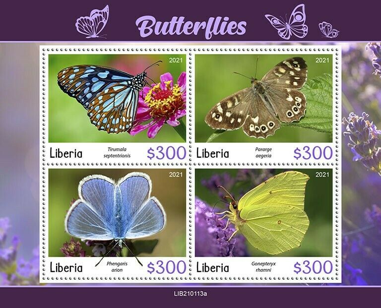 Liberia 2021 MNH Butterflies Stamps Common Brimstone Butterfly 4v M/S