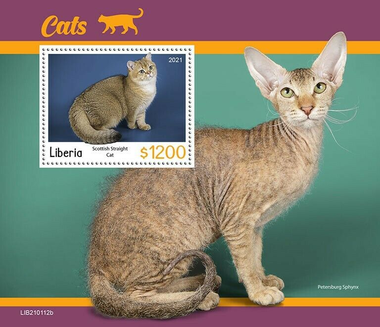 Liberia 2021 MNH Cats Stamps Scottish Straight Cat Sphynx Pets 1v S/S