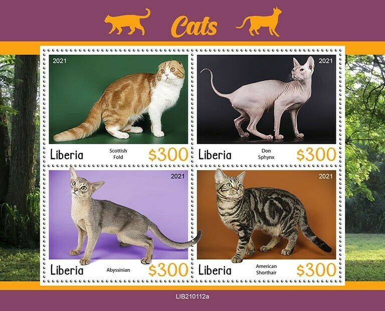 Liberia 2021 MNH Cats Stamps Scottish Fold Don Sphynx Abyssinian Cat 4v M/S