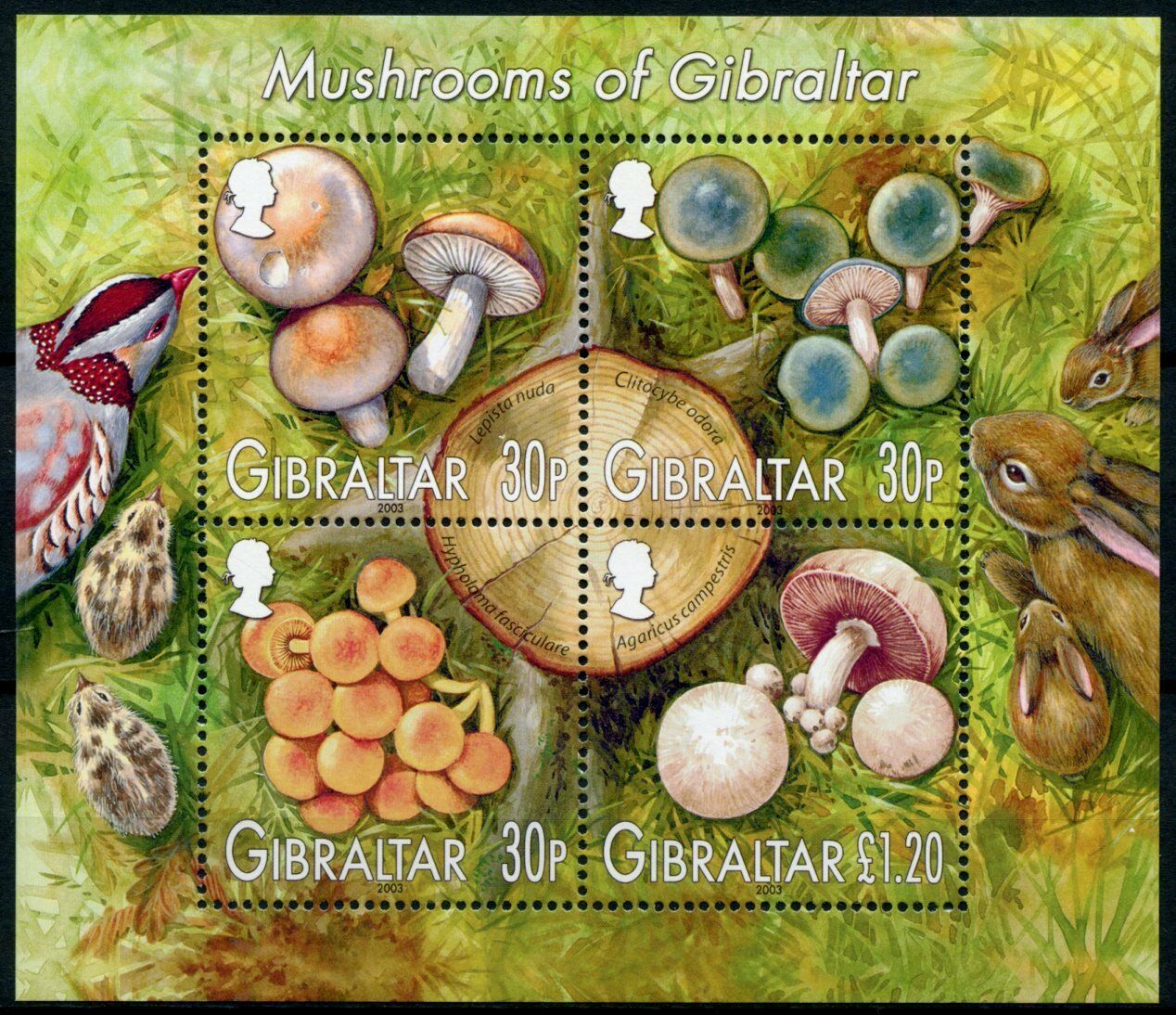 Gibraltar 2003 MNH Mushrooms Stamps Fungi Lepista Mushroom Nature 4v M/S