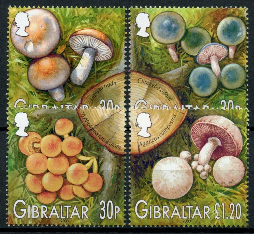 Gibraltar 2003 MNH Mushrooms Stamps Fungi Lepista Mushroom Nature 4v Set