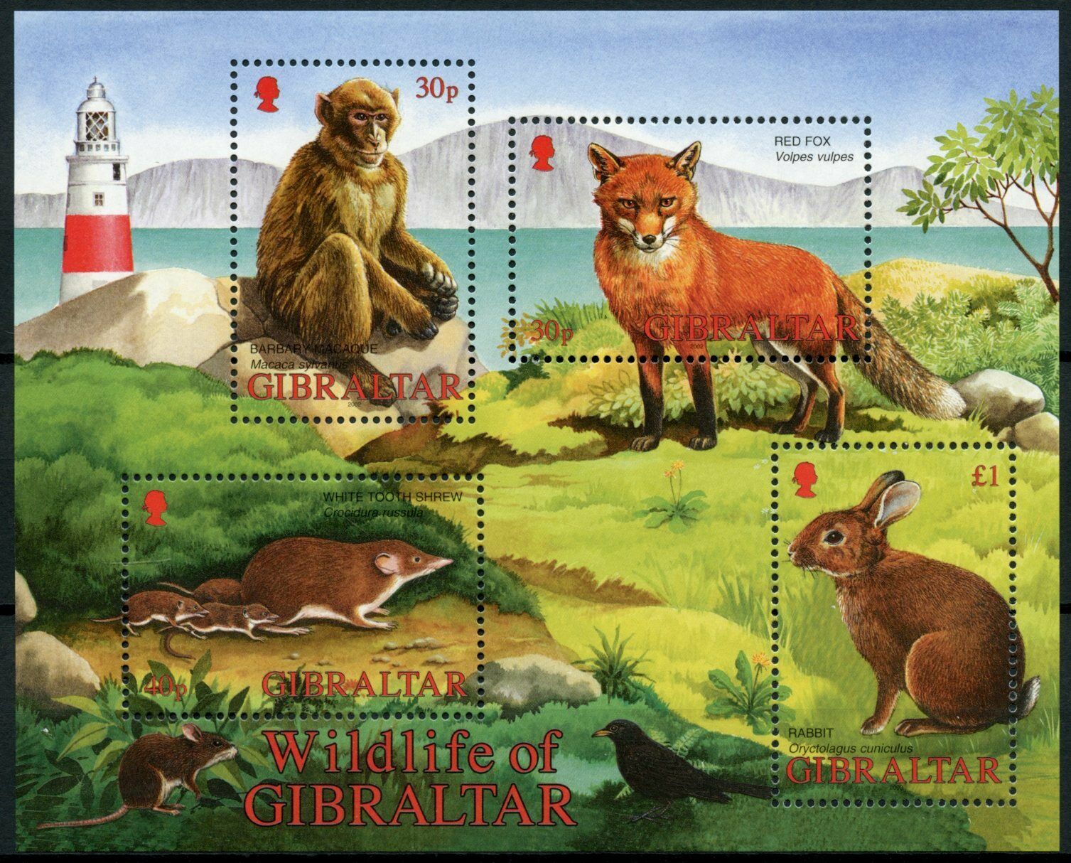 Gibraltar 2002 MNH Wild Animals Stamps Wildlife Foxes Rabbits Monkeys 4v M/S