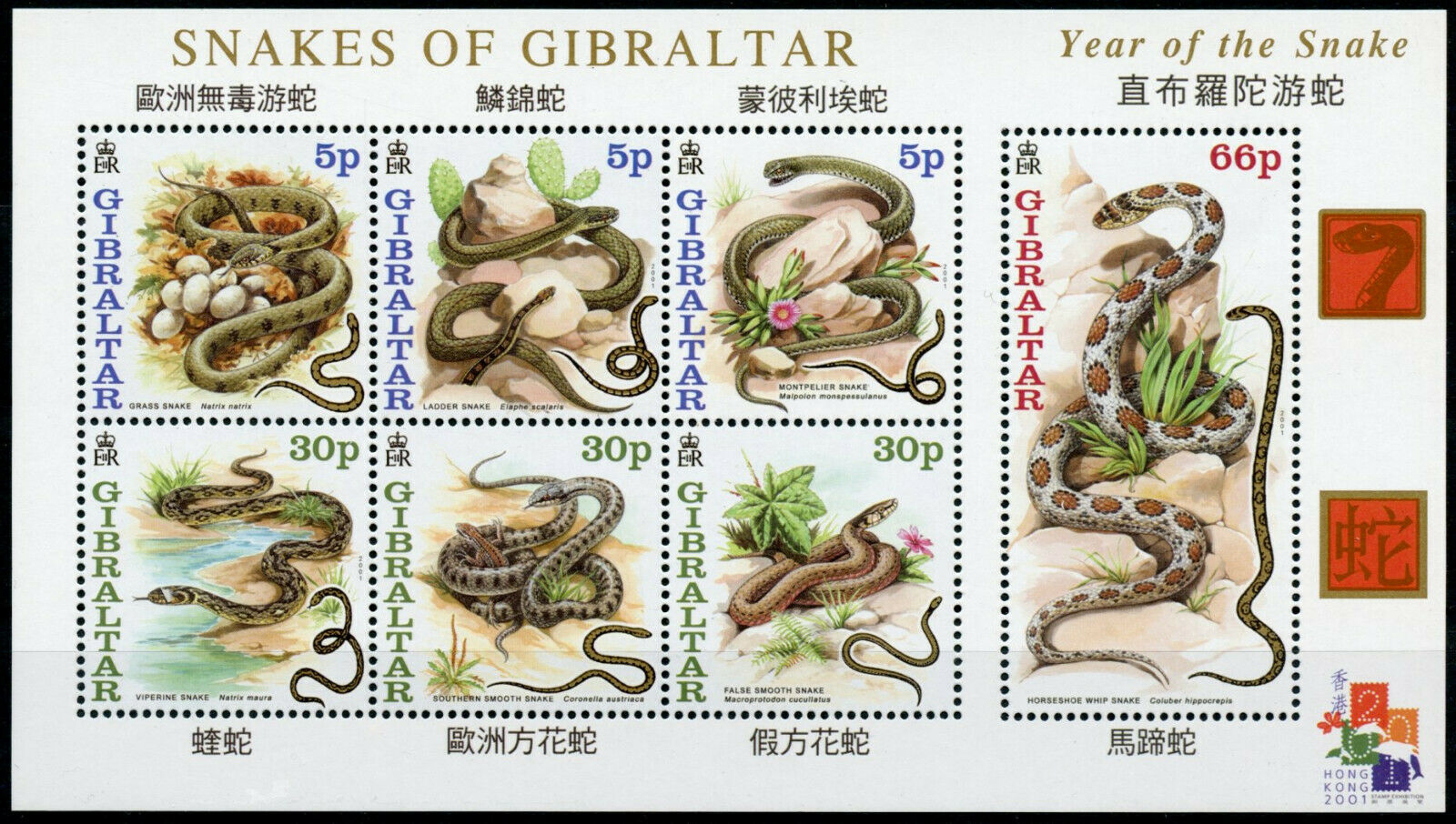 Gibraltar 2001 MNH Year of Snake Stamps Chinese Lunar New Snakes Reptiles 7v M/S