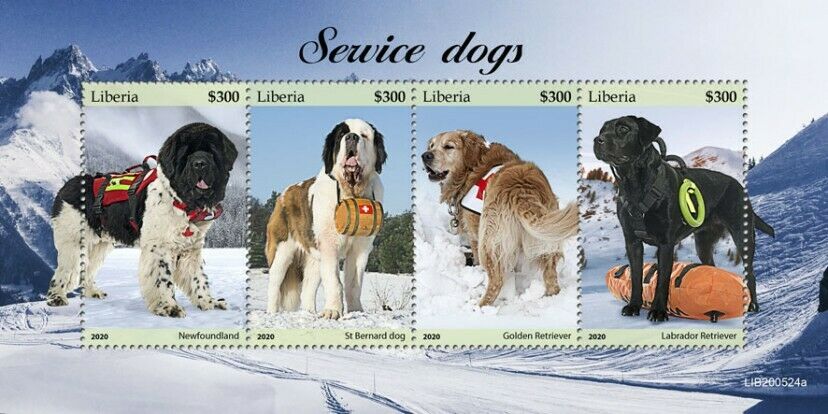 Liberia 2020 MNH Service Dogs Stamps Newfoundland St Bernard Dog 4v M/S