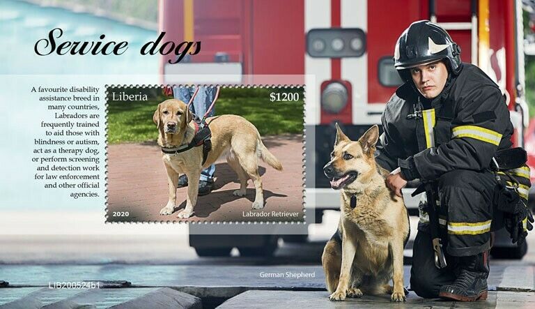 Liberia 2020 MNH Service Dogs Stamps Labrador Retriever German Shepherd 1v S/S I