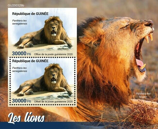 Guinea 2020 MNH Wild Animals Stamps Lions Big Cats Lion 2v S/S + IMPF