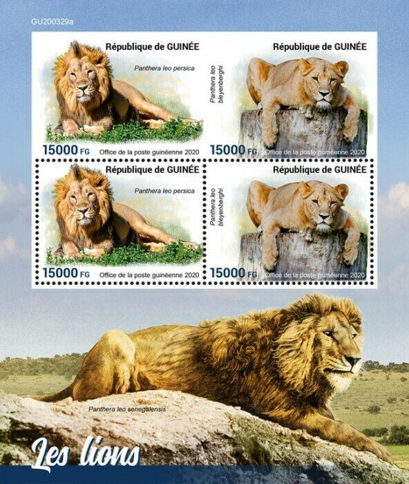 Guinea 2020 MNH Wild Animals Stamps Lions Big Cats Lion 4v M/S + IMPF