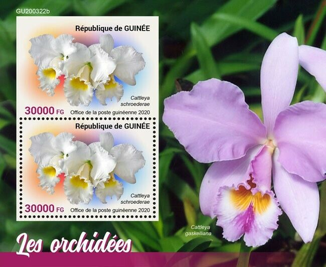 Guinea 2020 MNH Flowers Stamps Orchids Cattleya Orhid Flora Nature 2v S/S + IMPF