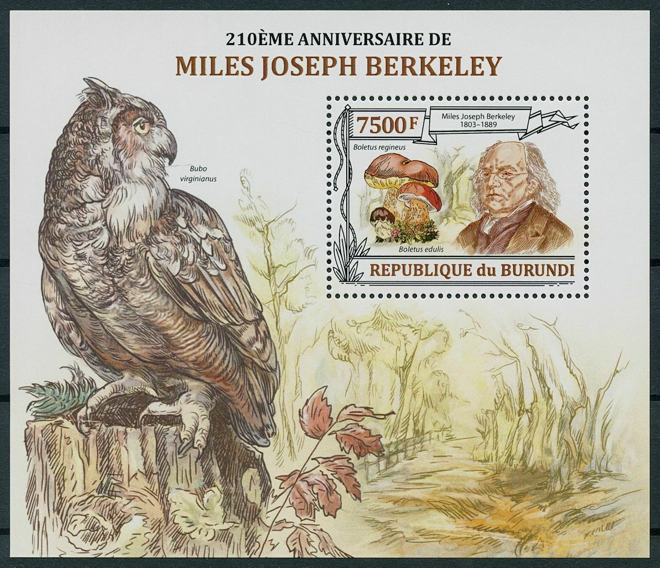 Burundi 2013 MNH Mushrooms Stamps Miles Joseph Berkeley Owls Fungi Birds 1v S/S