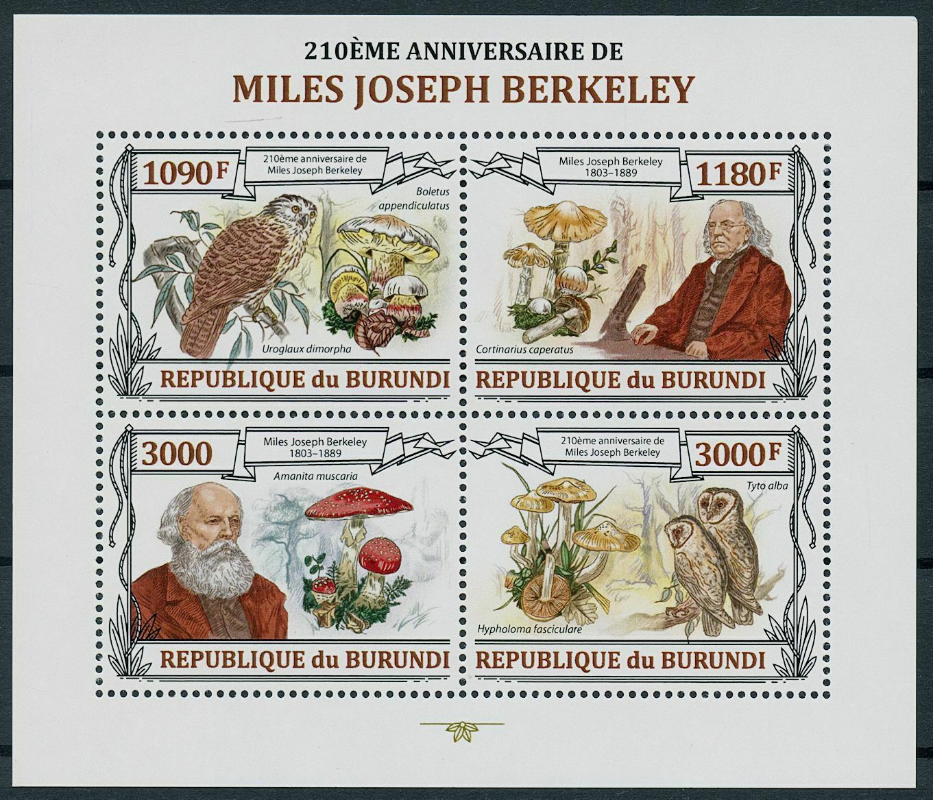 Burundi 2013 MNH Mushrooms Stamps Miles Joseph Berkeley Owls Fungi 4v M/S