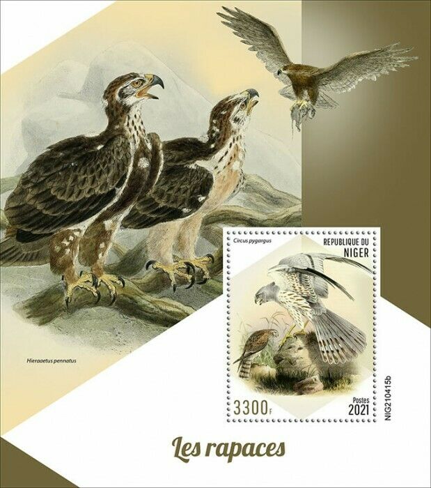 Niger 2021 MNH Birds of Prey on Stamps Raptors Montagu's Harrier 1v S/S