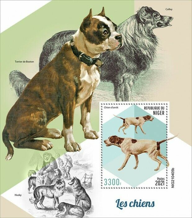Niger 2021 MNH Dogs Stamps Pointing Dog Breed Collie Domestic Animals 1v S/S