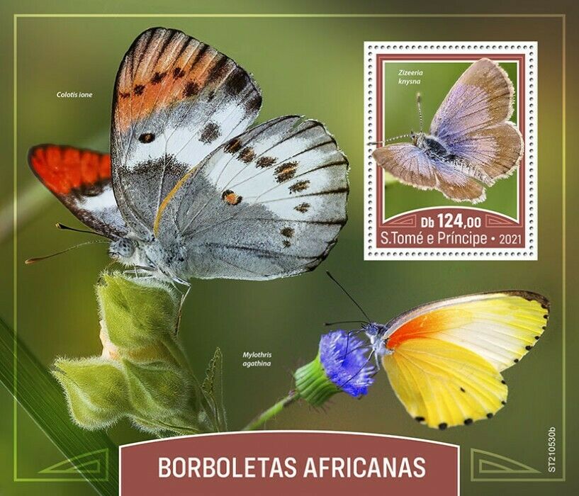 Sao Tome & Principe 2021 MNH African Butterflies Stamps Butterfly 1v S/S