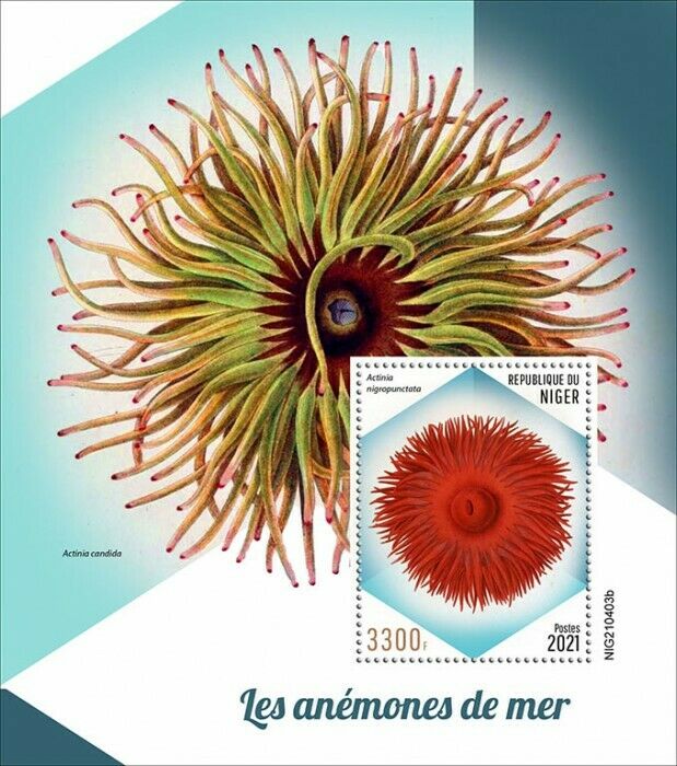 Niger 2021 MNH Marine Animals Stamps Sea Anemones Anemone 1v S/S