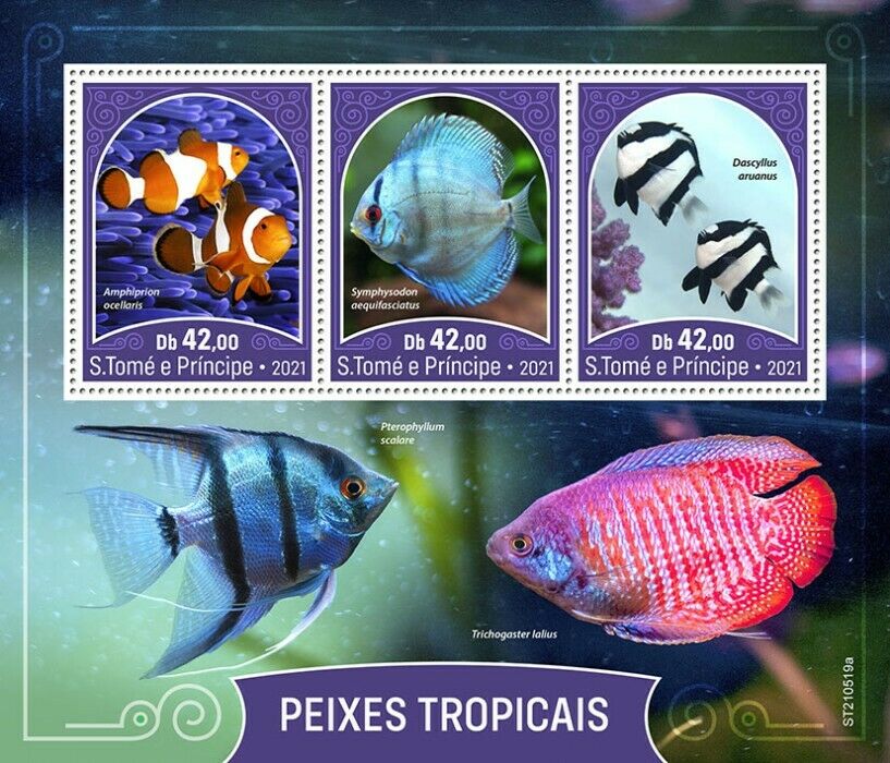 Sao Tome & Principe 2021 MNH Tropical Fish Stamps Fishes Clownfish 3v M/S