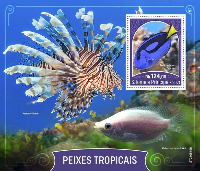 Sao Tome & Principe 2021 MNH Tropical Fish Stamps Fishes Blue Tang 1v S/S