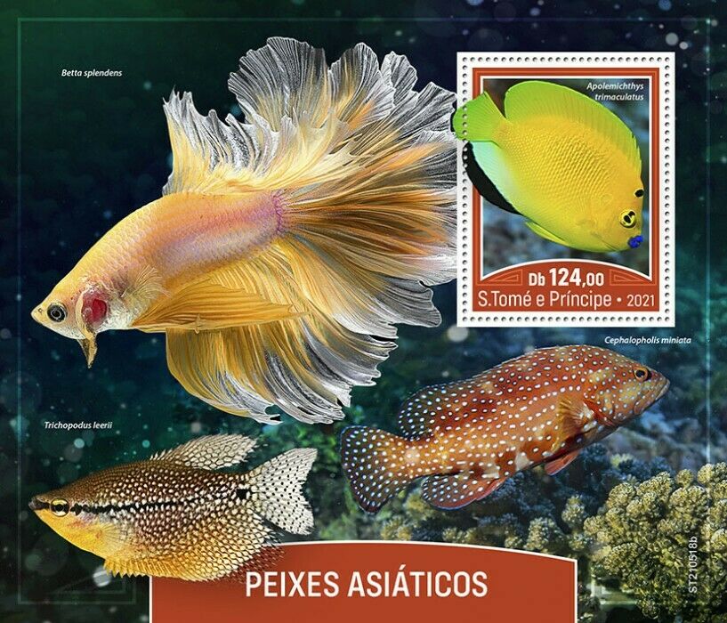 Sao Tome & Principe 2021 MNH Asian Fish Stamps Fishes Angelfish 1v S/S