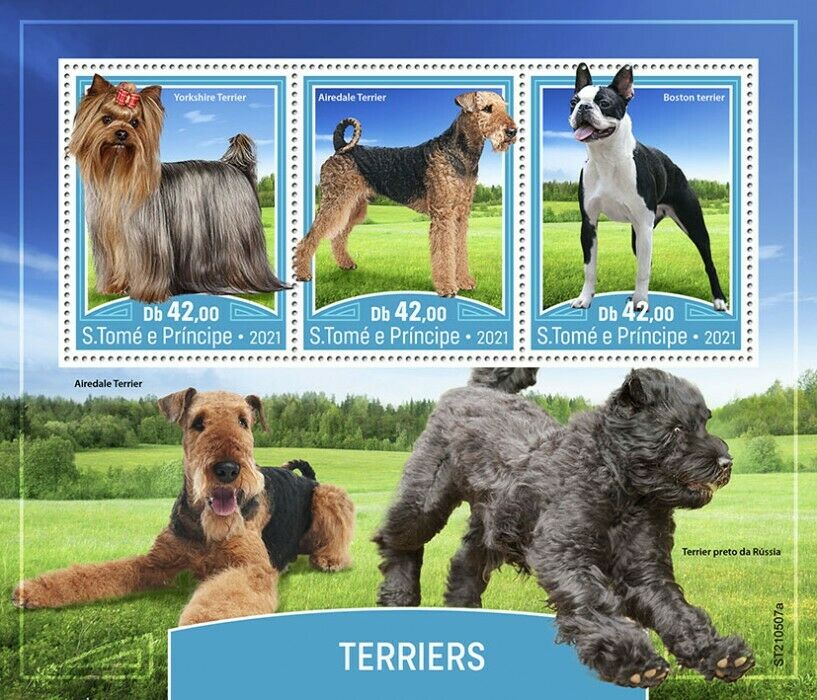 Sao Tome & Principe 2021 MNH Dogs Stamps Terriers Boston Yorkshire Terrier 3v MS