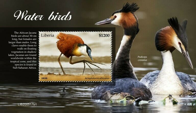 Liberia 2020 MNH Water Birds on Stamps Jacanas African Jacana Grebes 1v S/S I