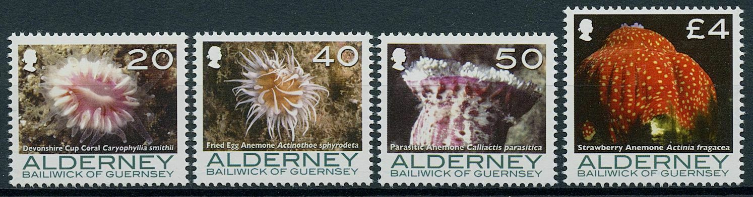 Alderney 2007 MNH Marine Animals Stamps Colars & Anemones Definitives 4v Set